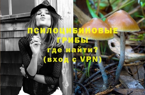 ALPHA PVP Нефтекумск