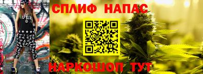 индика Гай