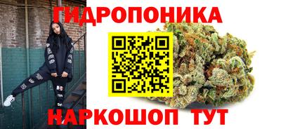 индика Гай