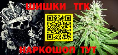 индика Гай