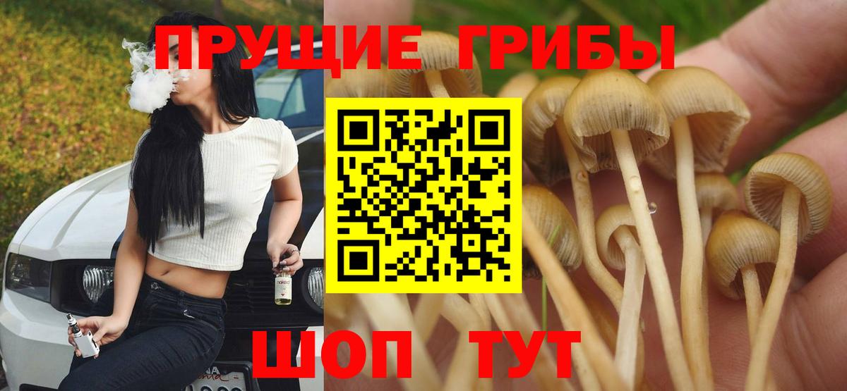 Лянтор  Псилоцибиновые грибы Magic Shrooms  Вход с VPN 